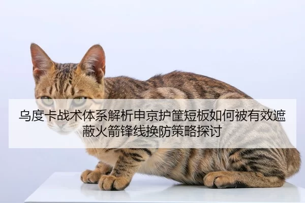 wu-du-ka-zhan-shu-ti-xi-jie-xi-shen-jing-hu-kuang-duan-ban-ru-he-bei-you-xiao-zhe-bi-huo-jian-feng-xian-huan-fang-ce-2-690.jpg