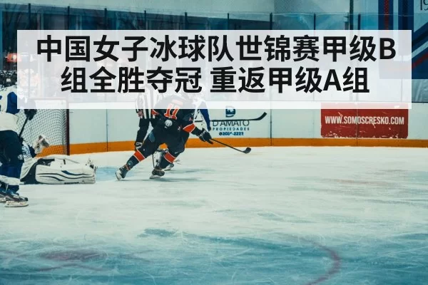 ice hockey match action